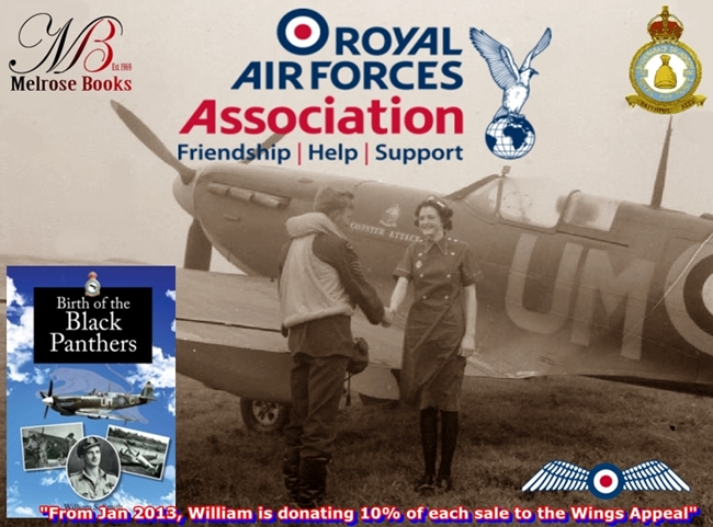 Counter Attack 2013 small