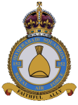 New Squadron site 2 Badge