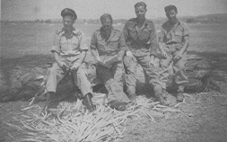 db_Burma_10