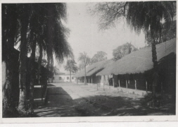 db_Picture_3A3