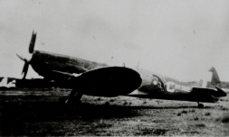 db_21