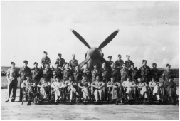 db_MK_8__Large_Group