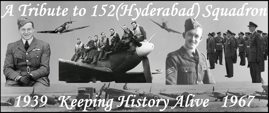 new web site banner 3