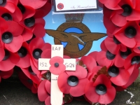 poppy_1