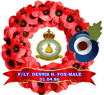 poppy Fox-Male